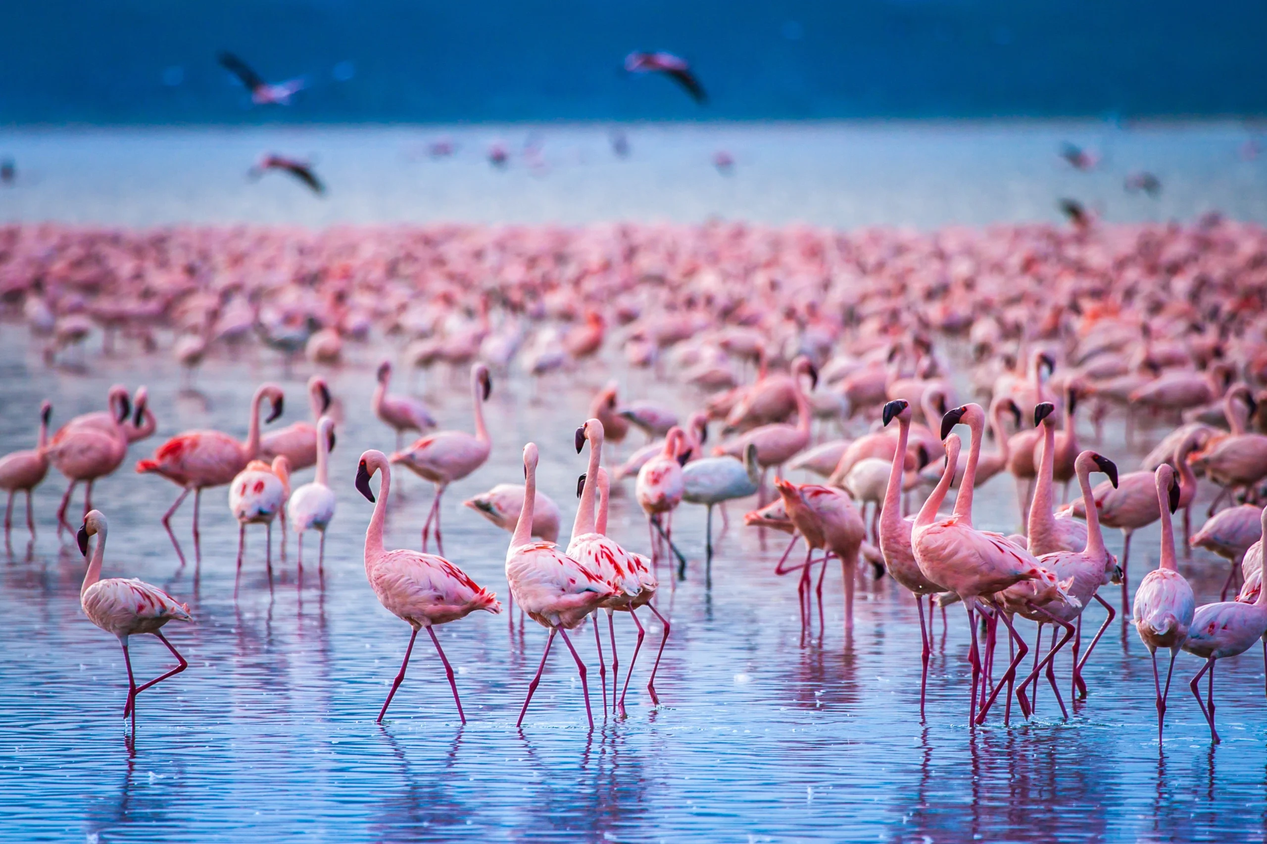 Nakuru