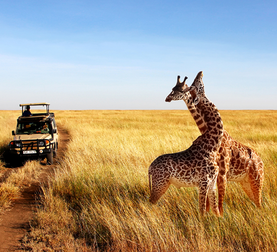 Maasai Mara 3Days Deals